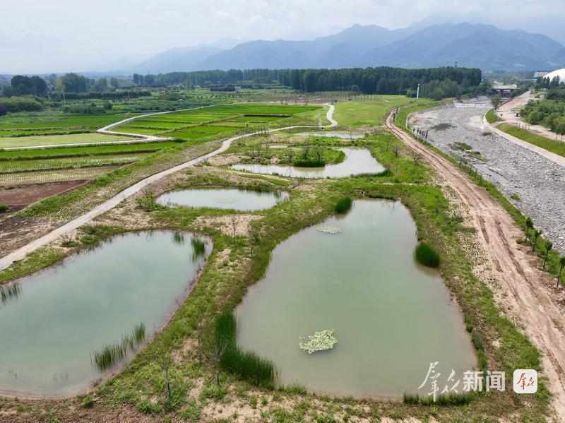 野鸭白鹭重现湿地;秦岭山前修复工程展现生态新貌。 文化旅游