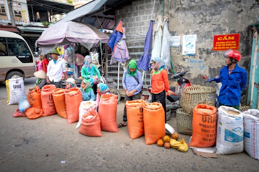 中原粮仓的隐秘转型：从传统耕种到万亿级产业的蝶变全记录 新闻