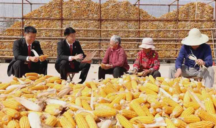  别信“免费”的诱饵：那些看似稳赚不赔的陷阱，其实都在算计你的辛苦钱 情感心理