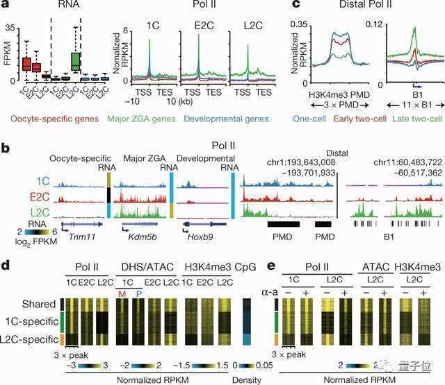 科研之巅:中国高校集体登顶Nature,背后有着怎样的成长启示? IT技术 科研之巅:中国高校集体登顶Nature,背后有着怎样的成长启示? IT技术
