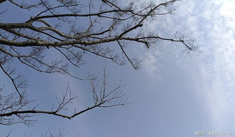 工资省级统筹的制度重构：保障教育公平的基石价值 教育招生