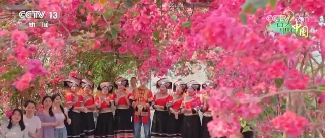  游子归乡路上的气候密码：一场关于南北花期的哲学思辨 文化旅游