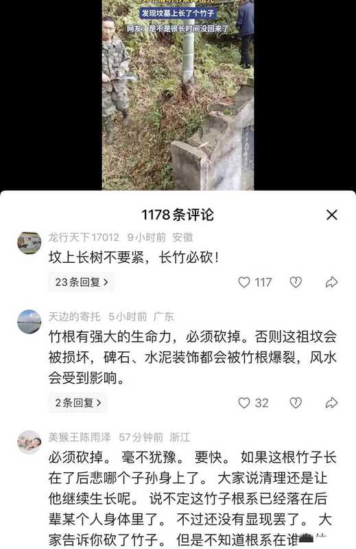  【民俗学观察】坟头生竹的文化隐喻与科学治理：跨越千年的丧葬禁忌深度解析 文化旅游
