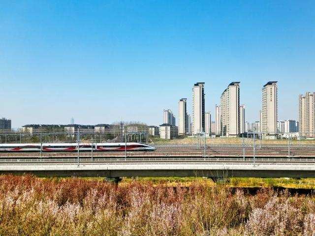  “米”字高铁网的清明答卷：269.2万人次数据背后的精准调度密码 新闻