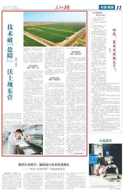  技术破局盐碱地：东营三百六十度综合治理方案与实践 新闻