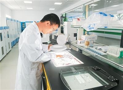  技术破局盐碱地：东营三百六十度综合治理方案与实践 新闻