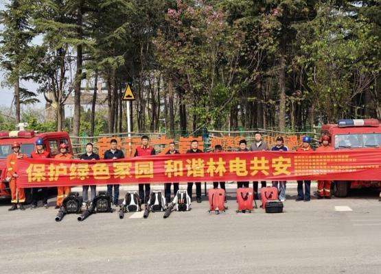 清明山火频发,电网人这样守护绿水青山 新闻