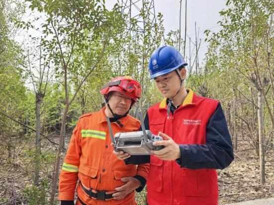 清明山火频发,电网人这样守护绿水青山 新闻