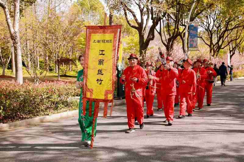 【非遗观察】当千年丝竹邂逅万树樱花:顾村雅集的技术解构与传承启示 文化旅游