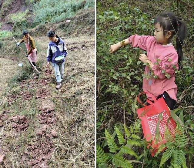  教育新范式：沉浸式劳动实践如何重塑学生综合素养 教育招生