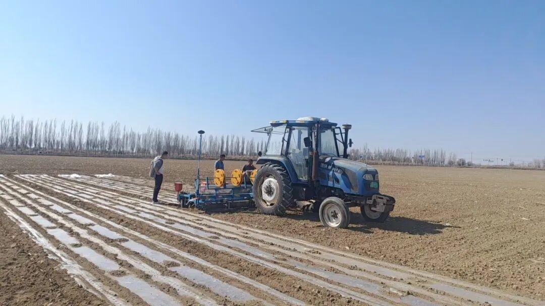  【技术深挖】北疆棉田播种三大隐患与四项关键参数全解析 新闻