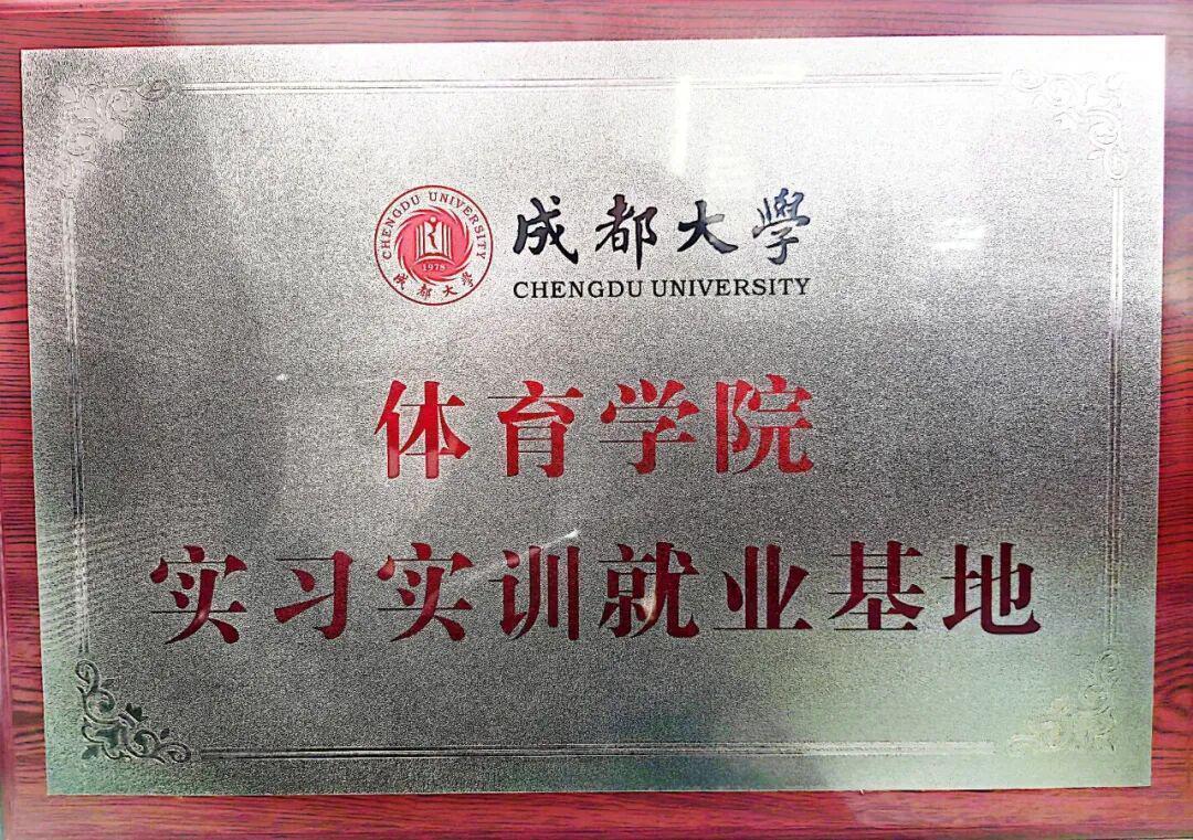  技术驱动与资源整合：龙泉驿区校园足球贯通培养体系的深度解构 体育新闻