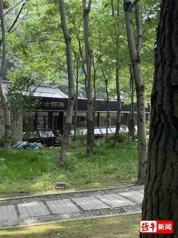 公共绿地商业化之惑:绍兴蕺山公园餐厅事件深度复盘与规范启示 新闻