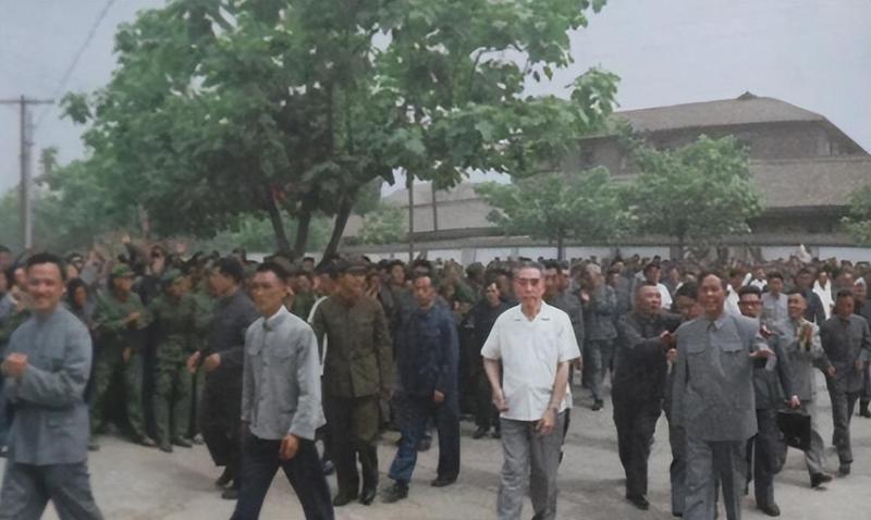 外交细节博弈:周总理如何从被动应对转向主动破局 文化旅游 外交细节博弈:周总理如何从被动应对转向主动破局 文化旅游