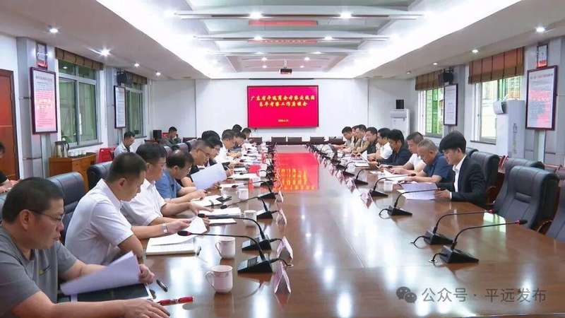 政商协作新范式：平远县招商引资模式的深度解构