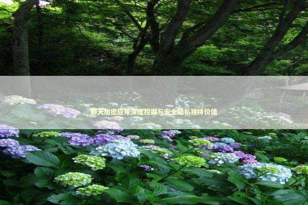 聊天加密应用深度挖掘与安全隐私独特价值