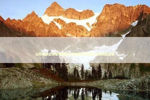 从陈晓新恋情看男明星的感情选择,粉丝们为何如此在意 娱乐新闻