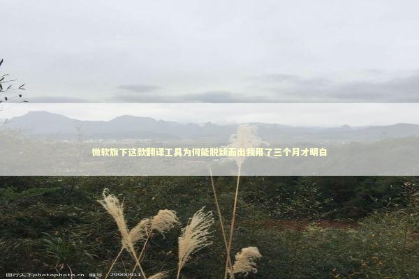 微软旗下这款翻译工具为何能脱颖而出我用了三个月才明白 IT技术