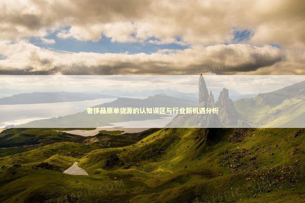 奢侈品原单货源的认知误区与行业新机遇分析